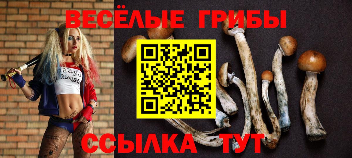 Галлюциногенные грибы Psilocybe  Вход с VPN  Ессентуки 